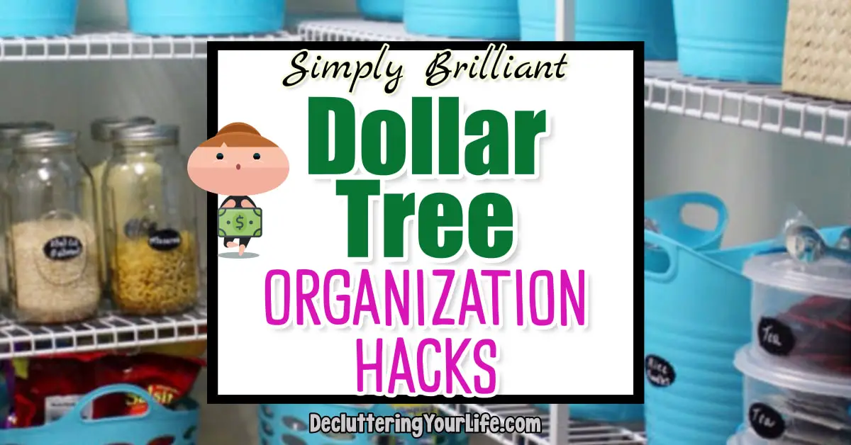 Dollar Tree Organization Hacks and Dollar Store Storage Ideas To Get Organized and STAY Organized At Home on a Budget