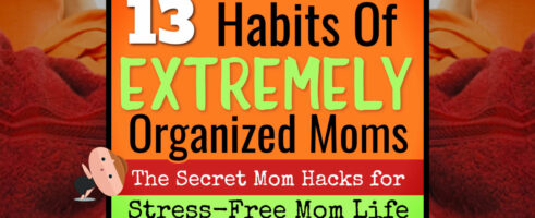 13 Habits of Super Organized Moms with NORMAL Families